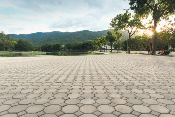 Best Residential Driveway Paver Services  in Avodo Heights, CA